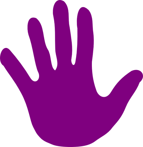 hand, fingers and atriculations being detected by a camera